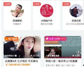 小菲最新爆料新闻报道,最新新闻报道揭秘