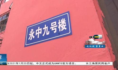 保定唐县爆料事件视频最新,真相与争议交织的舆论漩涡